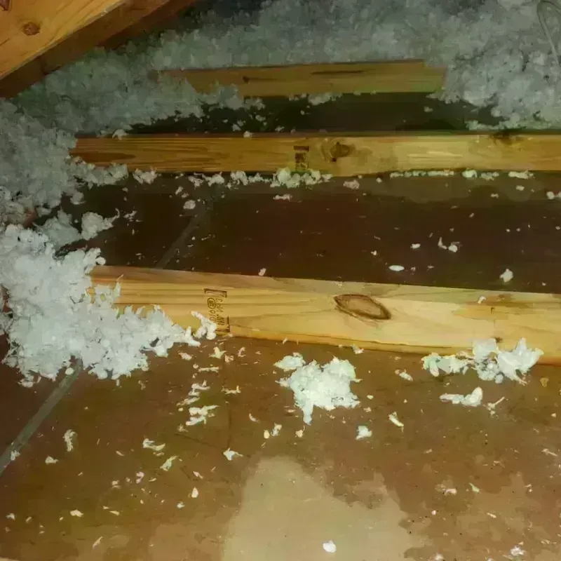 Attic Water Damage in Perkins County, NE