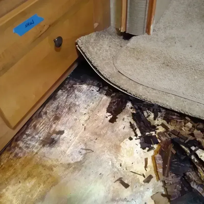 Best Wood Floor Water Damage Service in Perkins County, NE